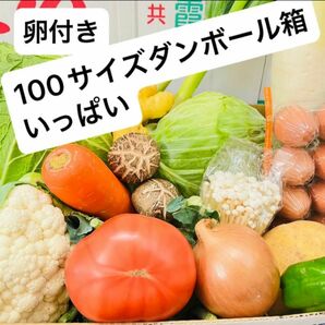 野菜詰め合わせ　野菜盛り合わせ　卵付き　家庭用　旬の食材　100サイズダンボール箱いっぱい