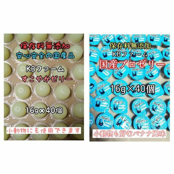 国産ゼリー KBファーム すこやかゼリー 16g 40個 プロゼリー 16g 40個 カブトムシ クワガタ 昆虫