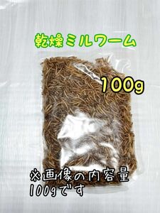 乾燥ミルワーム100g 高淡白 小動物 爬虫類 両生類 ハムスター ハリネズミ