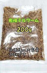  dry Mill wa-m200g height . white small animals reptiles amphibia hamster hedgehog 