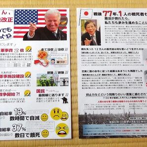 F 憲法改正チラシ　緊急事態条項　 パンデミック条約