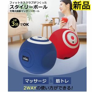 東急オアシス　スタイリーボール　新品