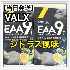 VALX バルクス EAA9 山本義徳 シトラス風味 必須アミノ酸9種類配合 EAA 500g 2袋　プロテイン　新品未開封