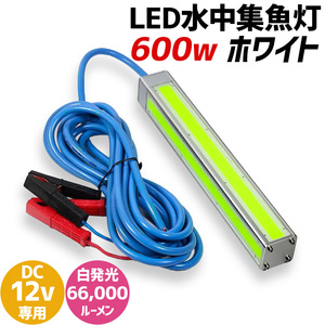 水中集魚灯 600w ホワイト DC 12v 専用 水中ライト 白発光 66000lm 水中灯 トビウオ ダツ イカ釣り 夜釣り 集魚灯 シラスウナギ LEDライト