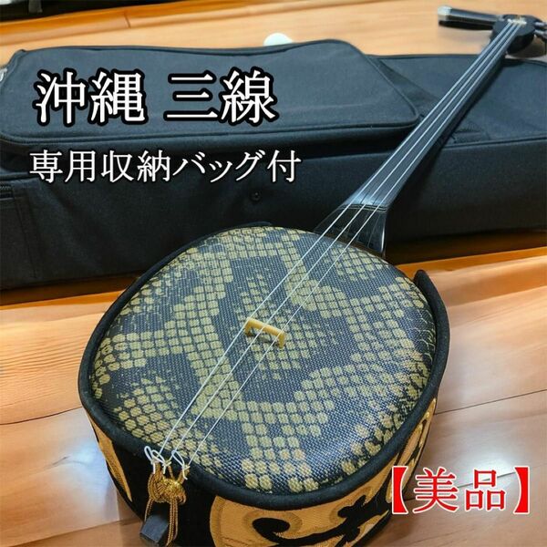 【美品】沖縄郷土楽器 三線 人工皮 初心者 入門 練習　専用ケース（黒）付