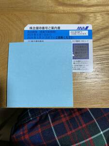 全日空ANA航空券　株主優待券　2024年5月31日搭乗期限