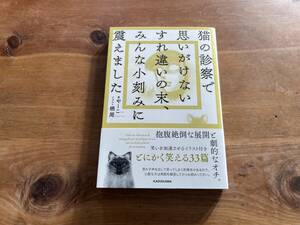 猫の診察で思いがけないすれ違いの末、みんな小刻みに震えました やーこ 