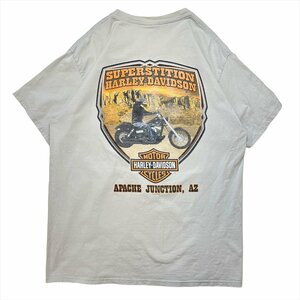 ハーレーダビッドソン Tシャツ 半袖 グレー Harley-Davidson 古着 メンズ L アメカジ バイク