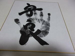  large sumo, tree . part shop. curtain inside power .,. good. autograph hand-print square fancy cardboard 