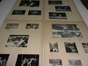 昭和２９～３１年・大相撲本場所のスナップ写真 １１０枚以上 吉葉山若乃花
