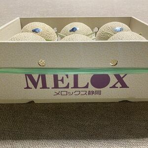  greenhouse melon Shizuoka prefecture production MELOX
