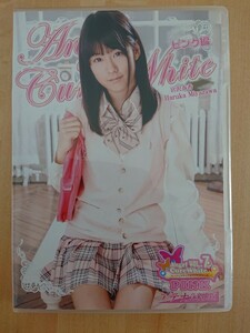 宮沢春香/Angel Cure White ピンク編 アイドル DVD