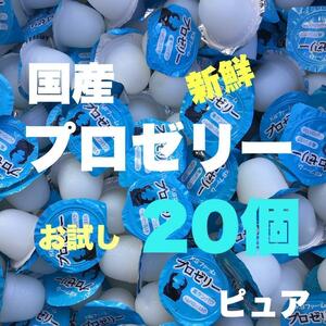 昆虫ゼリー プロゼリー20 クワガタ・カブトムシ・ハムスター・モモンガ小動物