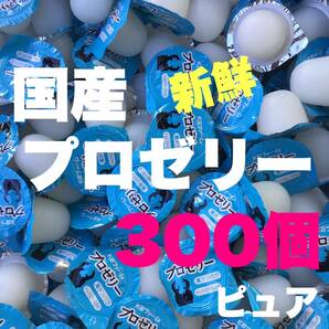 ★送料込★プロゼリー 16g 300個 昆虫ゼリー クワガタ・カブト・ハムスター・モモンガ等にもの画像1