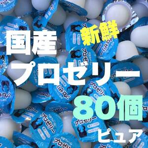 ★送料込★プロゼリー 16g 80個 昆虫ゼリー クワガタ・カブト・ハムスター・モモンガ等にも