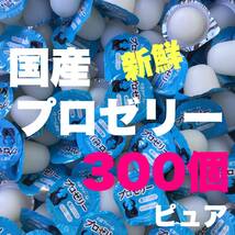 ★送料込★プロゼリー 16g 300個 昆虫ゼリー クワガタ・カブト・ハムスター・モモンガ等にも_画像1