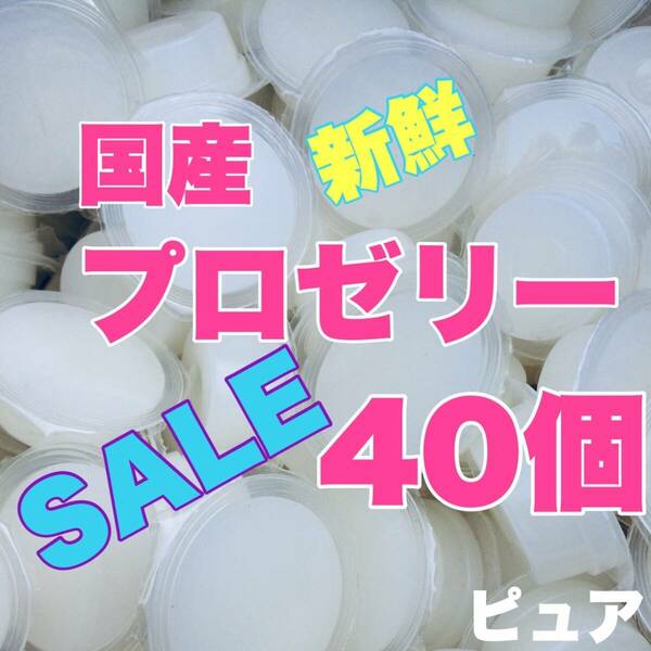 ★送料込★プロゼリー 18g 40個 クワガタ・カブト・ハムスター・モモンガ等にも