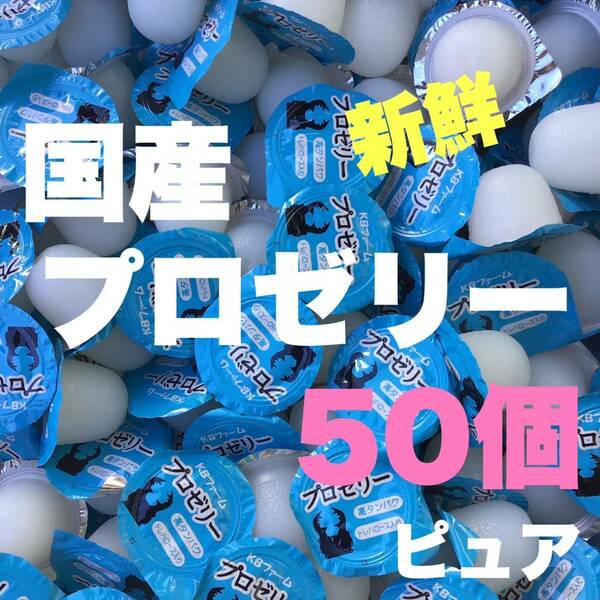 ★送料込★プロゼリー 16g 50個 昆虫ゼリー クワガタ・カブト・ハムスター・モモンガ等にも