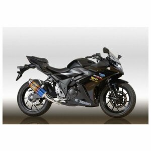 アールズギア ワイバン リアルスペック スリップオンマフラー タイプS (チタンドラッグブルー) GSX250R RS14-03SD