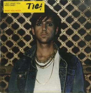 A00501613/12インチ/ティガ(TIGA)「What You Need (2009年・5413356591316・テクノ・TECHNO・ディスコ・DISCO・ハウス・HOUSE)」