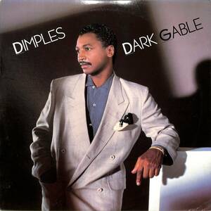 A00588018/LP/リチャード・ディンプルズ・フィールズ (DIMPLES)「Dark Gable (1985年・AFL1-5482・ディスコ・DISCO)」