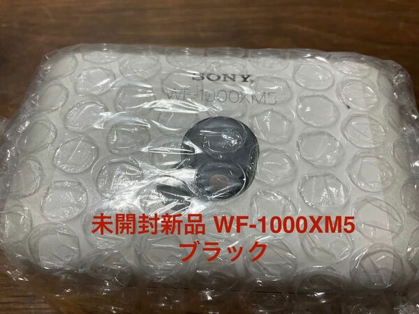 未開封新品/購入証明書 当日発送 ソニー SONY WF-1000XM5 ブラック ノイズキャンセリング イヤホン