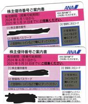 ANA株主優待 国内線片道優待料金 2枚_画像1