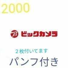 ビックカメラ2000＋ちらしクーポン２枚付き＋おまけ