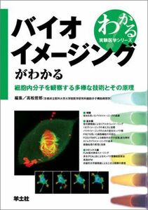 [A01705780]バイオイメージングがわかる―細胞内分子を観察する多様な技術とその原理 (わかる実験医学シリーズ―基本&トピックス)