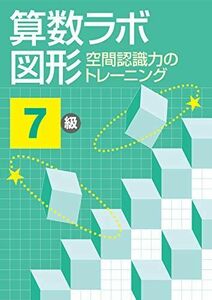 [A12295920]算数ラボ図形 空間認識力のトレーニング 7級