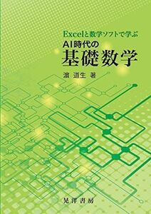 [A12278072]Excelと数学ソフトで学ぶAI時代の基礎数学 [単行本] 濱　道生