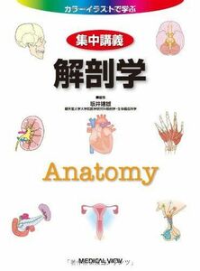 [A01152403]解剖学 (カラーイラストで学ぶ 集中講義) 坂井 建雄