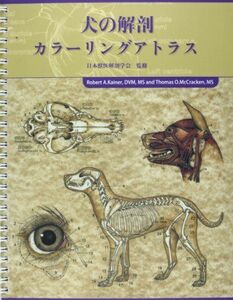 [A01272386]犬の解剖 カラーリングアトラス