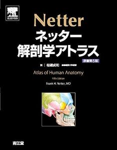 [A01056108]ネッター解剖学アトラス 原書第5版 Frank H.Netter; 相磯 貞和