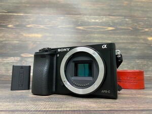 SONY ソニー α6000 ILCE-6000 ボディ ミラーレス一眼カメラ #B22