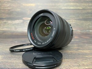 Panasonic パナソニック LUMIX G VARIO 14-140 F4-5.8 MEGA O.I.S. 望遠レンズ #19