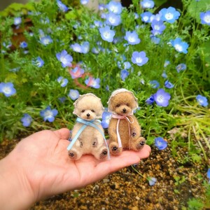 Art hand Auction Toy Poodle Teddy Bear 1 Cream One only Wool felt Handmade Miniature Dollhouse Blythe Toy Poodle Antique style, toy, game, stuffed toy, Wool felt