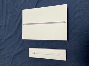 【早い者勝ち☆】iPad mini Apple pencil 用　箱+説明書