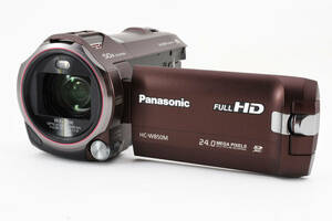 Panasonic