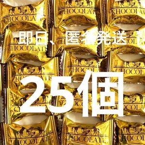 25個　名糖産業　チョコレート 詰め合わせ　保存食