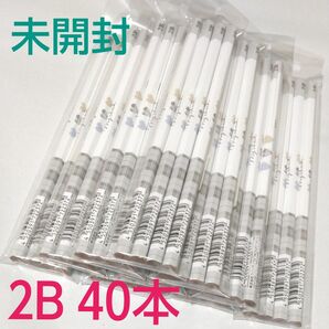 六角軸　鉛筆　2B　40本まとめ売り　シンプル　ハート　チェック　名前欄あり　日本製