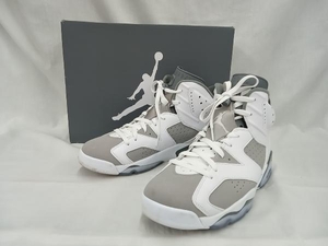 NIKE ナイキ/スニーカー/AIR JORDAN 6 RETRO/ホワイト/CT8529-100/29cm