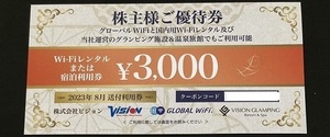 ビジョン 株主優待券 3000円 