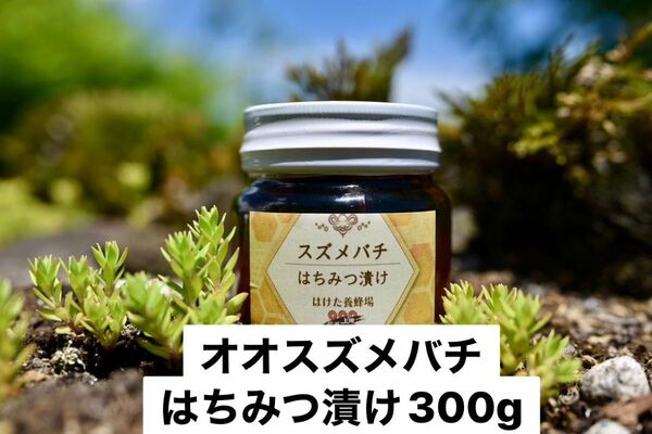 オオスズメバチ はちみつ漬け 生はちみつ 300g 国産　蜂蜜 【生産者直送】