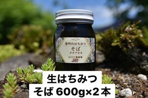 そば 生はちみつ 600g×2本 国産　蜂蜜 【生産者直送】