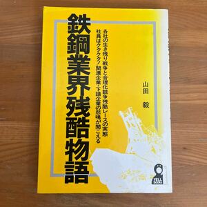 W1■鉄鋼業界残酷物語 山田毅 著 昭和61年4月25日 初版 発行 1987年 エール出版