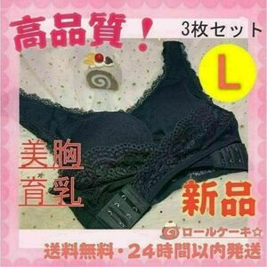 Lサイズ３枚セット ナイトブラ　育乳　美乳 脇高 盛りブラ ノンワイヤー