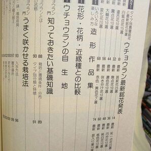 『ウチョウラン 最新銘花と栽培法』（月刊さつき研究社/昭和63年）の画像2