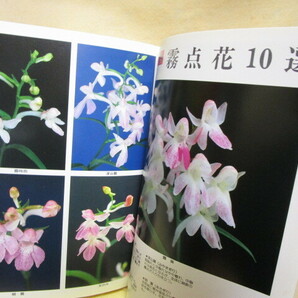 『ウチョウラン 最新銘花と栽培法』（月刊さつき研究社/昭和63年）の画像7