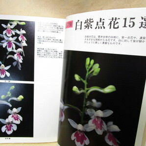 『ウチョウラン 最新銘花と栽培法』（月刊さつき研究社/昭和63年）の画像5